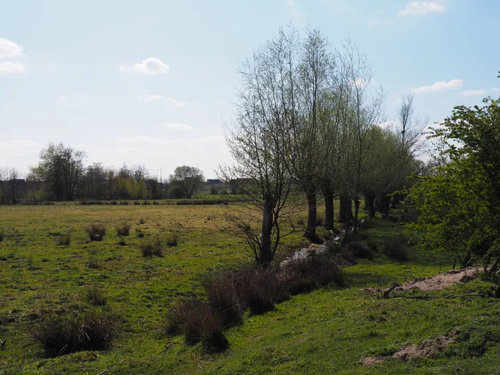 Kalkense Meersen (België)